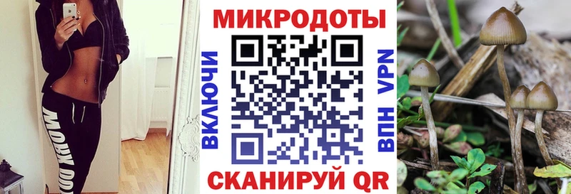 Галлюциногенные грибы Cubensis это официальный сайт Бердск